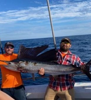 Atlantic Sailfish Caught in North Myrtle Beach